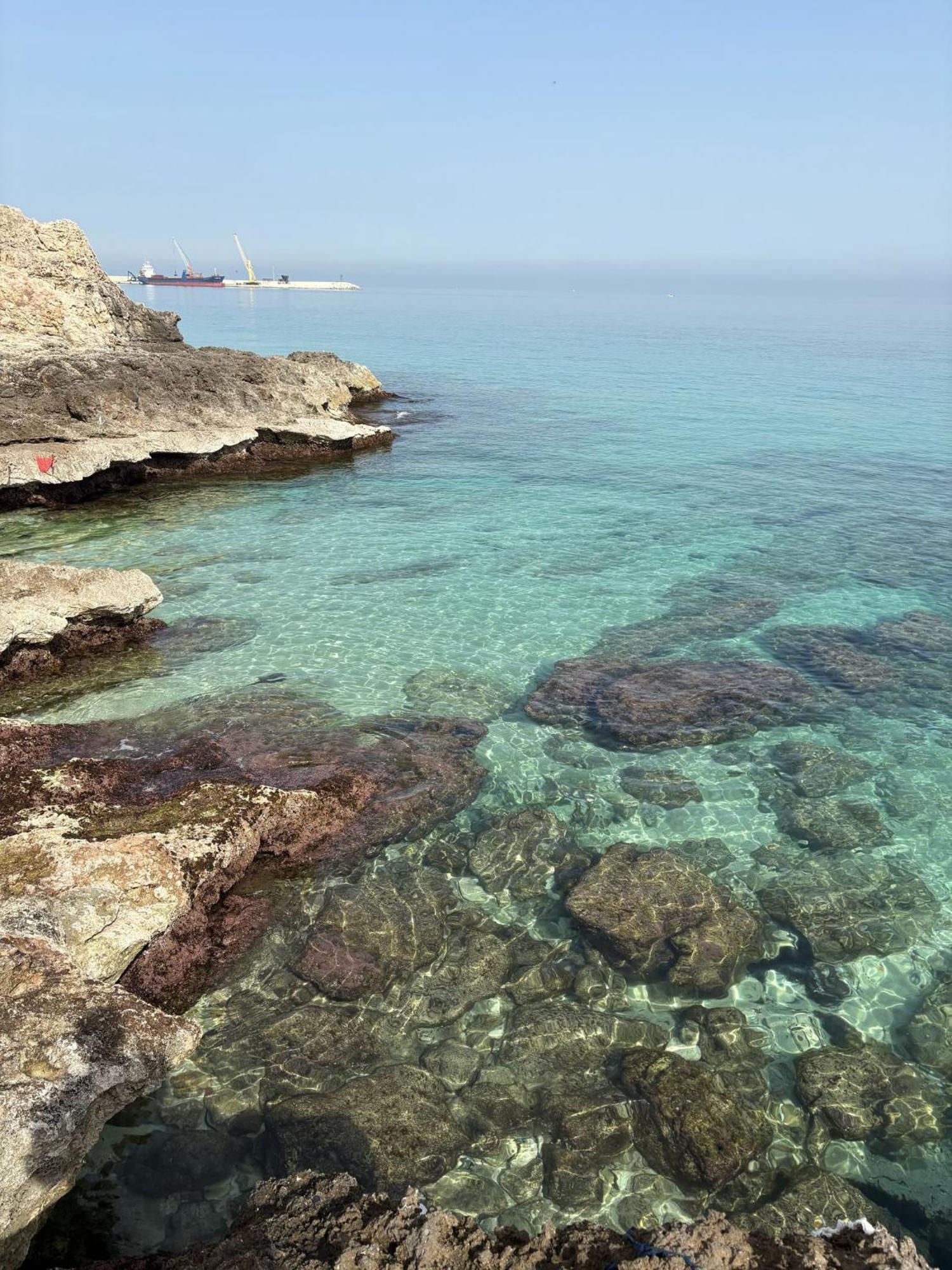 ホテル Venti Di Mare モノーポリ エクステリア 写真